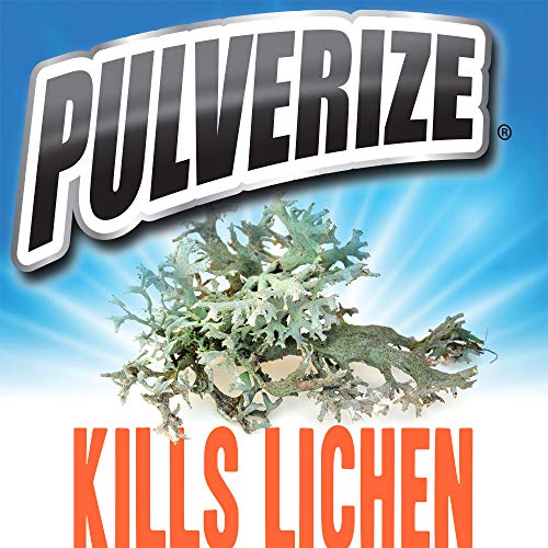 Pulverize Non-Selective Weed and Grass Killer Spray - Fast Acting, Non-Staining Weed and Crabgrass Killer - 32 Ounce Trigger Spray Bottle