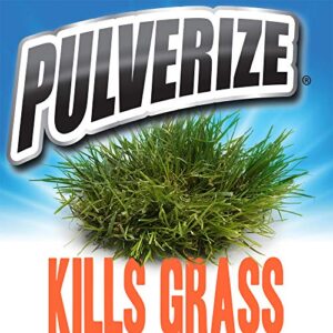 Pulverize Non-Selective Weed and Grass Killer Spray - Fast Acting, Non-Staining Weed and Crabgrass Killer - 32 Ounce Trigger Spray Bottle