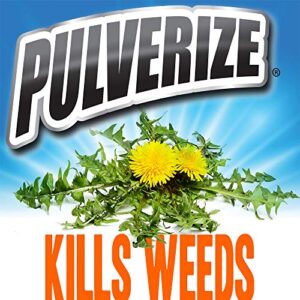 Pulverize Non-Selective Weed and Grass Killer Spray - Fast Acting, Non-Staining Weed and Crabgrass Killer - 32 Ounce Trigger Spray Bottle