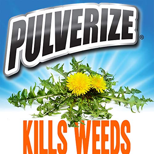 Pulverize Non-Selective Weed and Grass Killer Spray - Fast Acting, Non-Staining Weed and Crabgrass Killer - 32 Ounce Trigger Spray Bottle