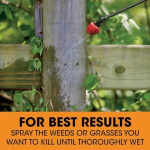 Roundup Poison Ivy Plus Tough Brush Killer₂ Concentrate, Visible Results in Hours, 32 fl. oz.