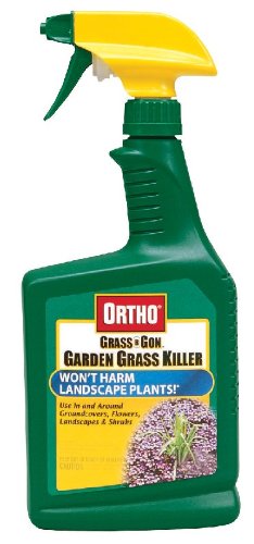 ORTHO GRASS BGON RTU24OZ