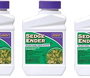 Sedge Ender Concentrate3