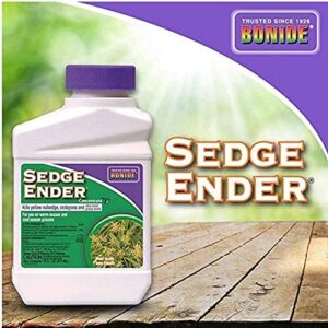 Sedge Ender Concentrate3