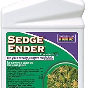 Sedge Ender Concentrate3