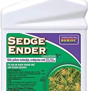 Sedge Ender Concentrate3