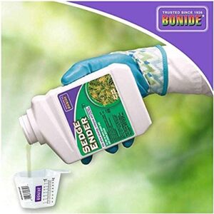 Sedge Ender Concentrate3