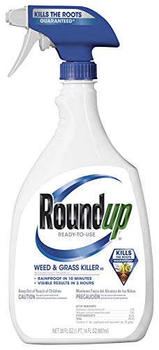 Roundup 5003410 Weed and Grass Killer III Ready-to-Use Trigger Spray, 30-Ounce