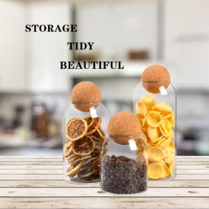 AEFPOYMXU 3 Pcs Glass Jars with Cork Ball Lid Set Kitchen Food Terrarium Airtight Clear Storage Canisters with Wooden Lids for Cookie Candy Coffee Bean Spice Sugar Rice