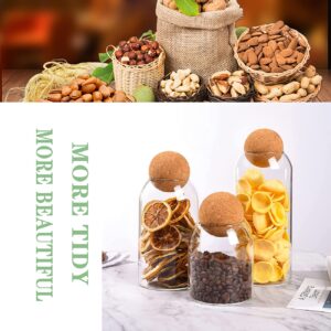 AEFPOYMXU 3 Pcs Glass Jars with Cork Ball Lid Set Kitchen Food Terrarium Airtight Clear Storage Canisters with Wooden Lids for Cookie Candy Coffee Bean Spice Sugar Rice