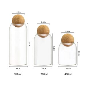 AEFPOYMXU 3 Pcs Glass Jars with Cork Ball Lid Set Kitchen Food Terrarium Airtight Clear Storage Canisters with Wooden Lids for Cookie Candy Coffee Bean Spice Sugar Rice