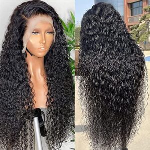 Filrku Water Wave Lace Front Wigs 13x4 HD Trasparent Glueless Lace Frontal Wigs for Women Pre Plucked with Baby Hair 180% Density Wet and Wavy Wigs (26 inch)