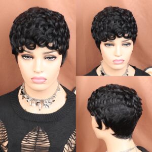 VCK Short Human Hair Wigs for Black Women Short Curly Human Hair Wigs Pixie Cut Wigs for Black Women Black Wigs Brazilian Remy Human Hair Glueless Full Machine Made