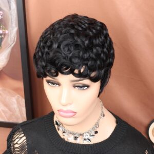 VCK Short Human Hair Wigs for Black Women Short Curly Human Hair Wigs Pixie Cut Wigs for Black Women Black Wigs Brazilian Remy Human Hair Glueless Full Machine Made