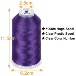 New brothread - 2 Huge Spools 5000M Each Polyester Embroidery Machine Thread 40WT for Commercial and Domestic Machines - Purple