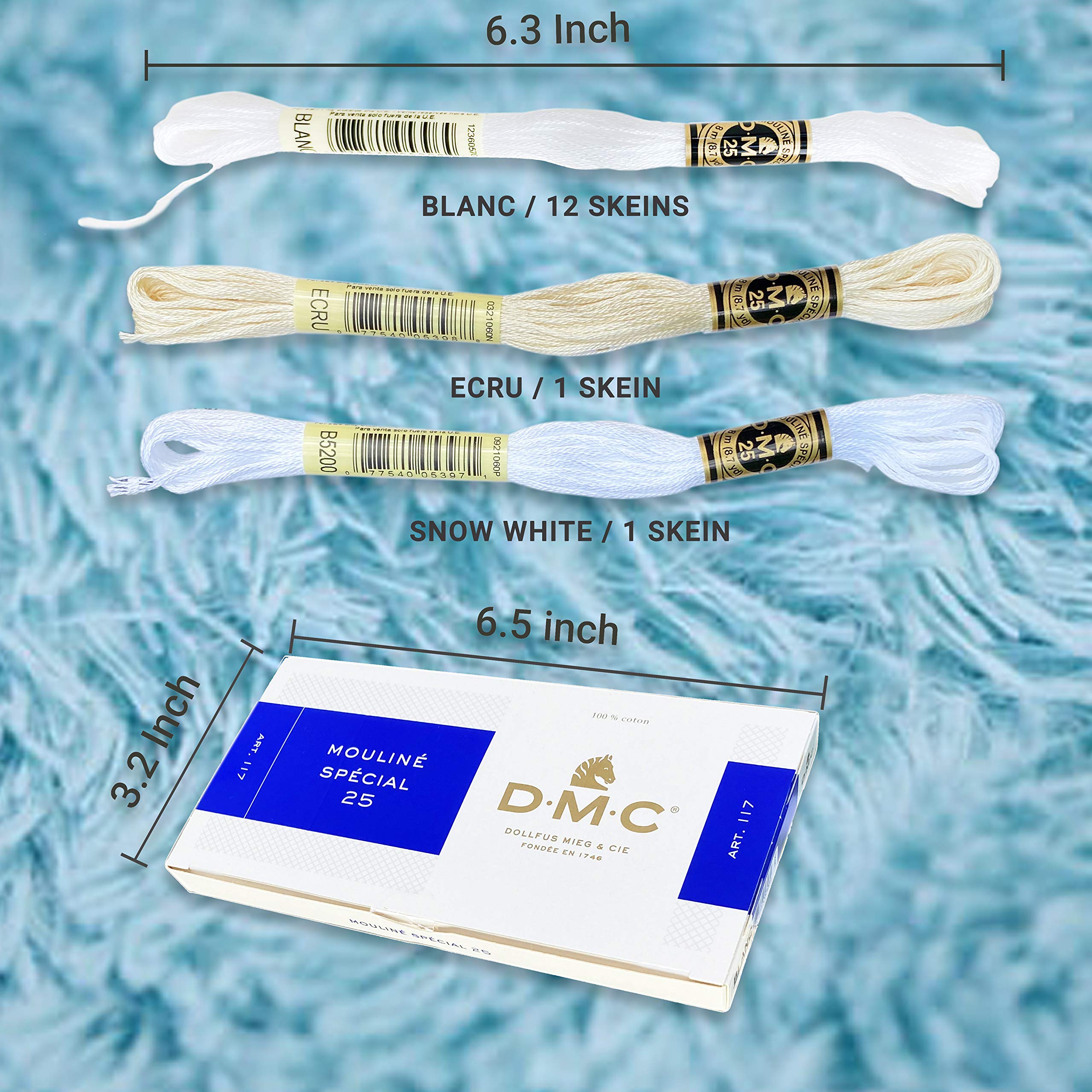 DMC White Embroidery Floss Kit, 6 Strand 117- Blanc CottonThread 12/ Pack Bundle with 1Skein of Each DMC Ecru/Snow White and DMC Cross Stitch Needles.Premium String/Yarn.Friendship Bracelet Supplies