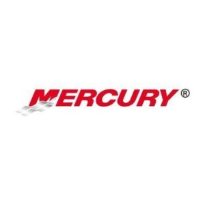 Mercury Quicksilver OEM Outboard in line Fuel Filter 35-879885Q : Fits 40/50/60 HP 4 Stroke EFI, 75-115, 135-300HP Verado