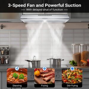 AMZCHEF Under Cabinet Range Hood 30 Inch, 250CFM Stainless Steel Kitchen Stove Vent Hood 3 Speed Exhaust Fan Button Control LED lights Dishwasher-Safe Aluminum Filters with Charcoal Filter