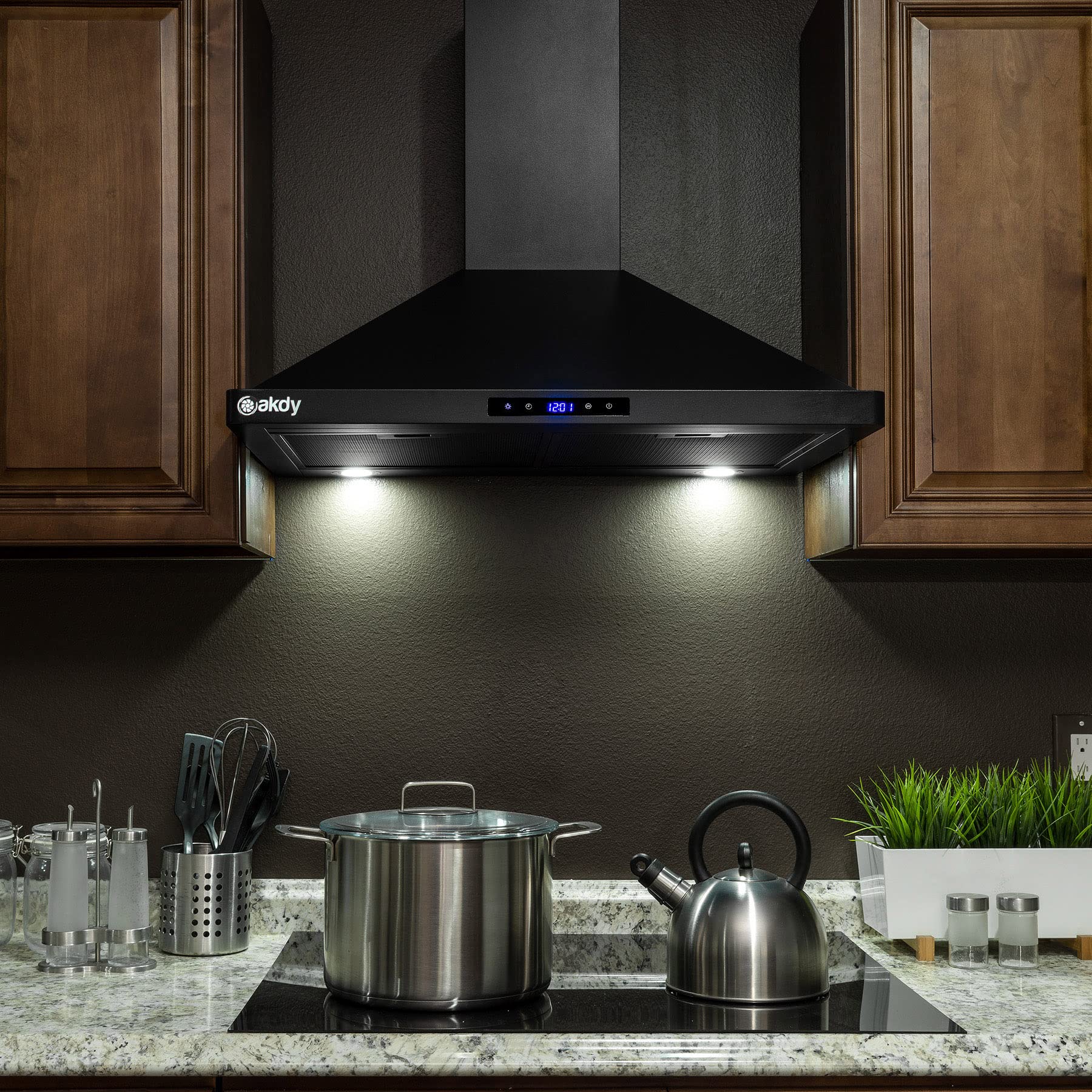 AKDY Convertible Kitchen Wall Mount Range Hood in Black Painted Stainless Steel with Lights and Carbon Filters (30 in.)