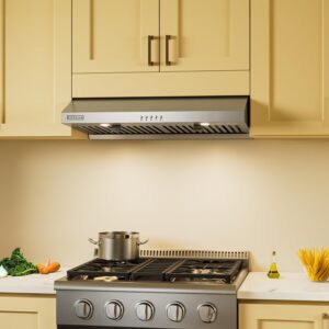 Empava Slim Range Hood 30 Inch Under Cabinet Ducted, Dual Sealed Aluminum Motor, 3-Speed, 400 CFM, Permanent Filters, Push Button Control Stainless Steel, 30 in. RH08