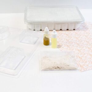 Life of the Party Oatmeal Vanilla Soap Making Kit,