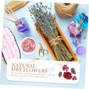 SEWACC 2pcs 5 Dried Flowers Edible Flowers for Drinks Dry Lavender Flowers Rose Petals for Bath Dried Lavender Flower DIY Pressed Flower Pressed Flowers Head DIY Kits Scrapbook Aromatic