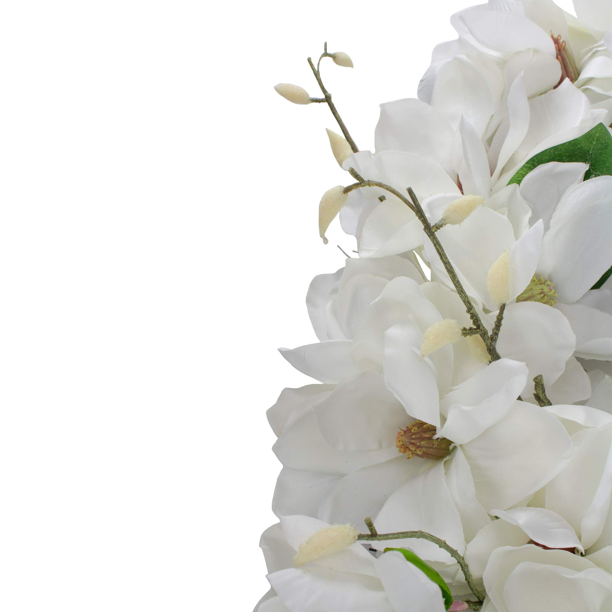 Northlight-White Magnolias Artificial Spring Wreath - 24-Inch, Unlit