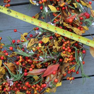 The Wreath Depot Appalachia Berry Silk Fall Door Wreath 24 inch, Handcrafted, Designed in USA, Full Wreath Shape and Size, Beautiful White Gift Box Included