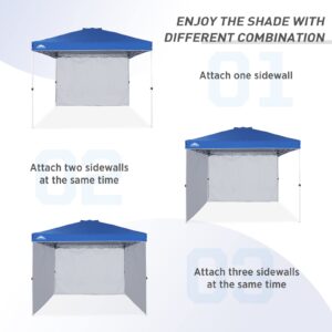 EAGLE PEAK Sunwall/Sidewall for 10x10 Straight Leg Canopy only, 1 Sidewall, Blue