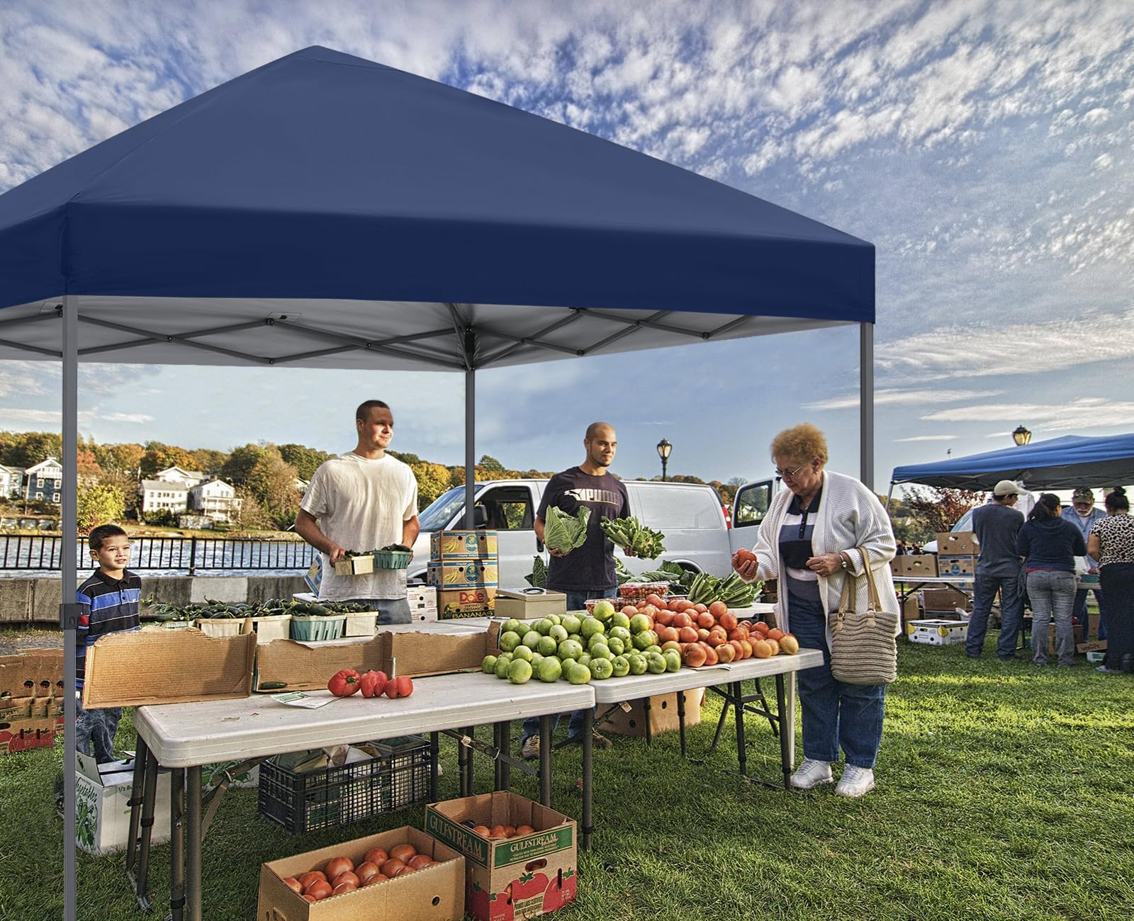 ABCCANOPY Outdoor Easy Pop up Canopy Tent 10X10, Navy Blue