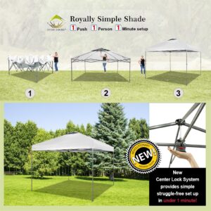 CROWN SHADES Canopy Tent 10x10 One Push Pop up Canopy Easy Up Canopy Bonus Wheeled Bag, 8 Stakes, 4 Ropes, White