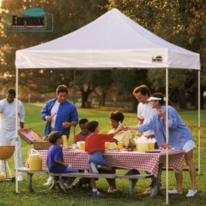 Eurmax USA New 10x10 Pop Up Canopy Replacement Canopy Tent Top Cover, Instant Canopy Top Cover ONLY, Choose 30 Colors,Bonus 4PC Pack Canopy Weight Bag (Gray)