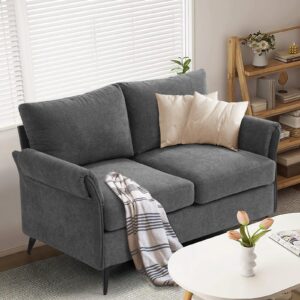 LEISLAND 50" Small Couches for Small Spaces, Modern Sofa Loveseat for Living Room, Fabric Sofas Couch with 2-Seater, Solid Wood Frame, Removable Low-Back Cushion,Easy to Install(Dark Grey)