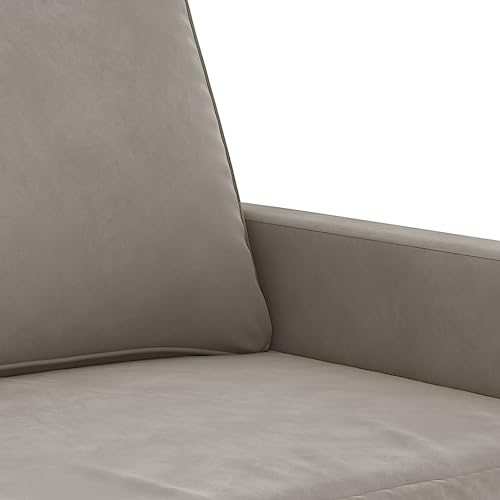 vidaXL Stylish 2-Seater Sofa in Light Gray - Comfortable Velvet Upholstery with Durable Metal and Plywood Frame - 55.1" Seat Width