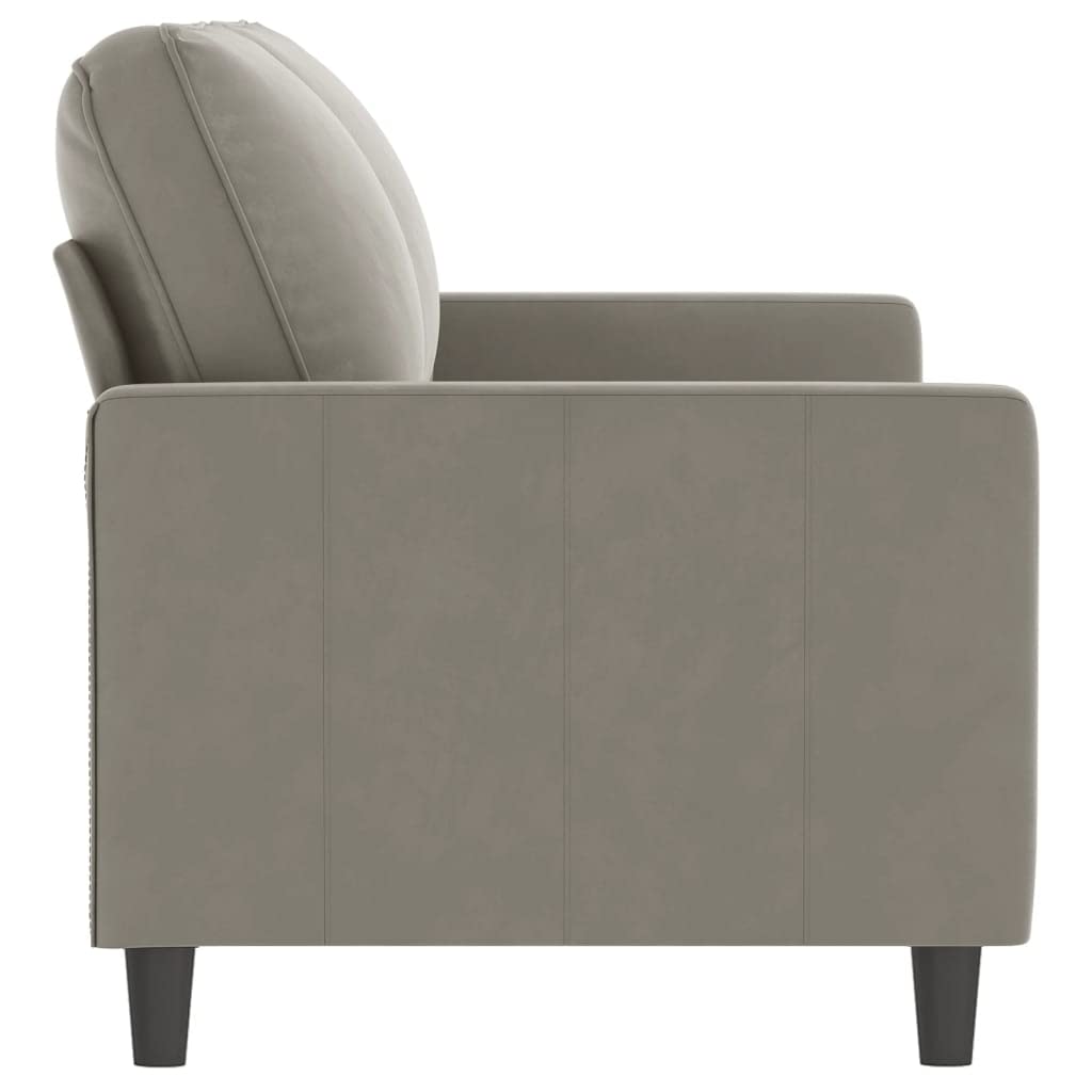 vidaXL Stylish 2-Seater Sofa in Light Gray - Comfortable Velvet Upholstery with Durable Metal and Plywood Frame - 55.1" Seat Width