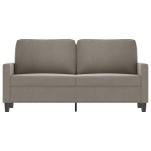 vidaXL Stylish 2-Seater Sofa in Light Gray - Comfortable Velvet Upholstery with Durable Metal and Plywood Frame - 55.1" Seat Width