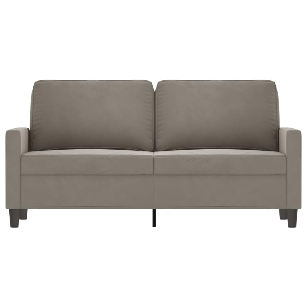 vidaXL Stylish 2-Seater Sofa in Light Gray - Comfortable Velvet Upholstery with Durable Metal and Plywood Frame - 55.1" Seat Width