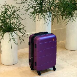 DUKAP RODEZ Hardside Luggage with Ergonomic Handles and TSA Lock | Spacious Traveling Suitcase, Travel Suitcase with Four Spinner Wheels and Studs | 20 Inch Carry On Luggage | Purple