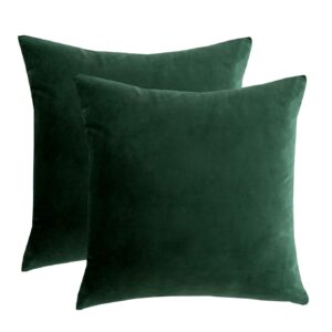 rainroad velvet decorative throw pillow covers cushion cover pillow case for sofa couch bed chair,soft square dark green throw pillows 18x18 inch,set of 2