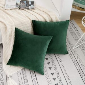 RainRoad Velvet Decorative Throw Pillow Covers Cushion Cover Pillow Case for Sofa Couch Bed Chair,Soft Square Dark Green Throw Pillows 18x18 Inch,Set of 2