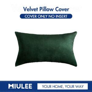 MIULEE Velvet Soft Soild Decorative Square Throw Pillow Cover Cushion Case for Spring Sofa Bedroom Car 12 x 20 Inch 30 x 50 Cm