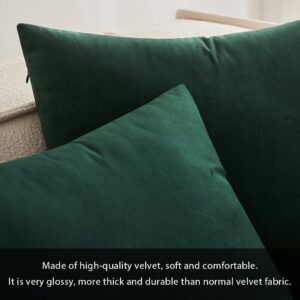 MIULEE Velvet Soft Soild Decorative Square Throw Pillow Cover Cushion Case for Spring Sofa Bedroom Car 12 x 20 Inch 30 x 50 Cm