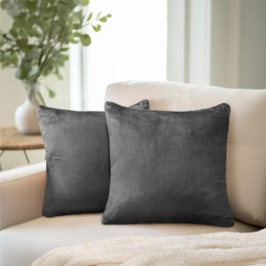 PAVILIA Dark Gray Throw Pillow Covers 18x18 Set of 2, Decorative Pillow Cases for Bed Sofa Couch, Boho Aesthetic Accent Decor Cushion for Bedroom Living Room, Velvet Square Euro Sham Covers, Dark Grey