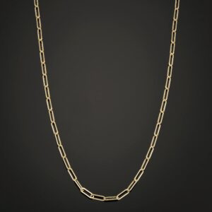 Au Naturale 14k Yellow Gold Paperclip Link Chain Necklace (2.5 mm, 24 inch)