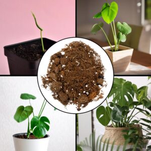 Monstera Houseplant Potting Soil Mix (2 Quarts), Custom Blend for Growing and Repotting