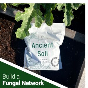 Elm Dirt Premium Ancient Soil for All Plants - Organic Plant Soil for Outdoor Plants & Indoor Plant Soil | Garden Soil for Plant Nutrients Growth & Protect your Plants Bugs - Roots Organic Soil (2lbs)