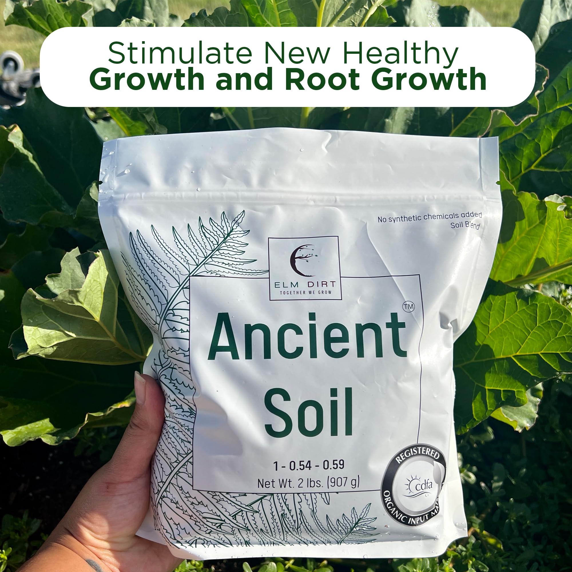 Elm Dirt Premium Ancient Soil for All Plants - Organic Plant Soil for Outdoor Plants & Indoor Plant Soil | Garden Soil for Plant Nutrients Growth & Protect your Plants Bugs - Roots Organic Soil (2lbs)