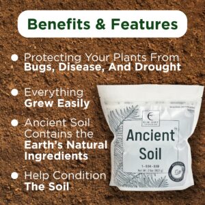 Elm Dirt Premium Ancient Soil for All Plants - Organic Plant Soil for Outdoor Plants & Indoor Plant Soil | Garden Soil for Plant Nutrients Growth & Protect your Plants Bugs - Roots Organic Soil (2lbs)