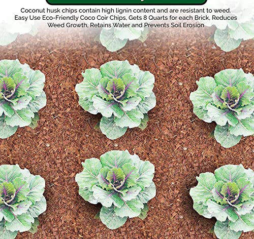 UBICON Easy to Use Compressed Coco Coir Organic Top Soil for Indoor and Outdoor; Each Brick Gets 7 Quarts, Excellent Aeration, Reduces Weed Growth, and Retains Water (1, Brick),Brown