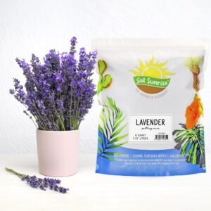 Lavender Potting Soil Mix (8 Quarts), Indoor/Outdoor Container Gardening Blend for Lavender Herb Plants